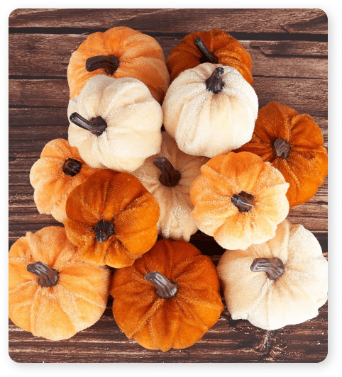 1725516192120635.jpg 2.jpg